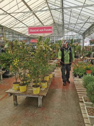 Fleuriste JARDINERIE GRAND CAP 1