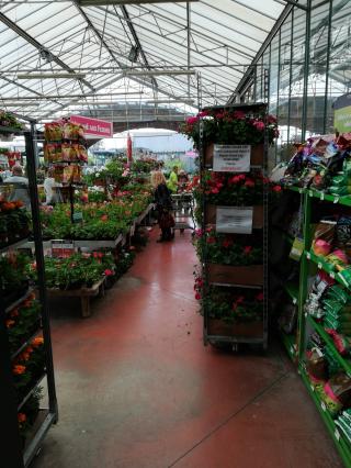 Fleuriste JARDINERIE GRAND CAP 0