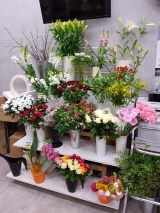 Fleuriste MARIA FLEURS 0
