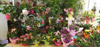 Fleuriste Mille et Une Fleurs 1