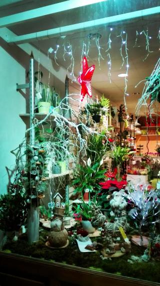 Fleuriste Julie Fleurs 2