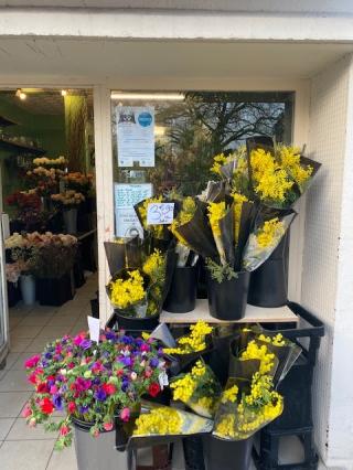 Fleuriste A 2