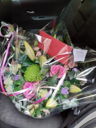 Fleuriste Amaryllis 0