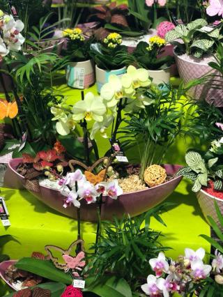 Fleuriste Vert'tiges 0