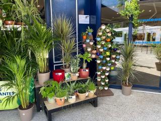 Fleuriste Monceau Fleurs- Saint Egrève 0