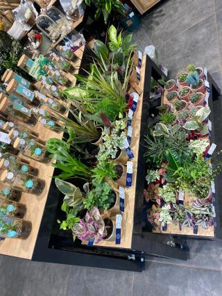 Fleuriste Monceau Fleurs- Saint Egrève 0