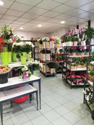Fleuriste Côté fleurs 0