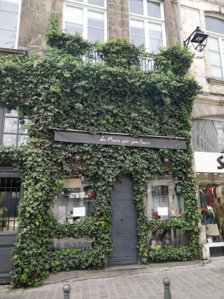 Fleuriste Des Fleurs par Jean-Louis 0