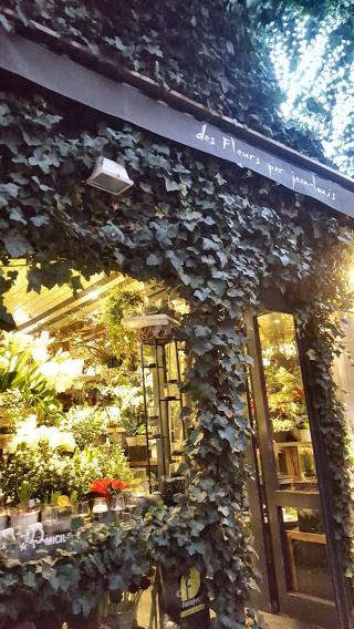 Fleuriste Des Fleurs par Jean-Louis 0