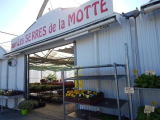 Fleuriste Les Serres de la Motte SARL 0