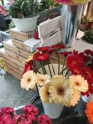 Fleuriste les fleurs gaillardes 0