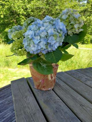 Fleuriste Cadoflor 2