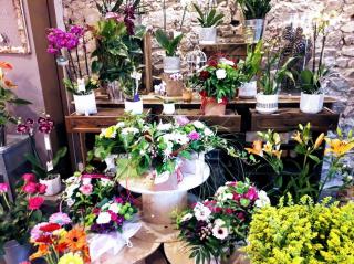 Fleuriste Cadoflor 0