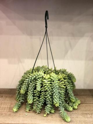 Fleuriste O Plus Belles Fleurs … 0