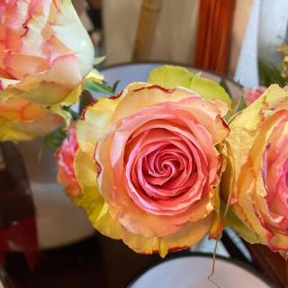 Fleuriste Parfums de Fleurs 0