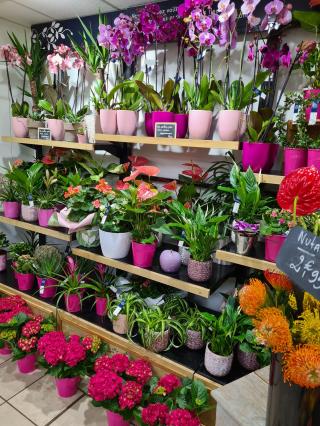 Fleuriste Monceau Fleurs 0