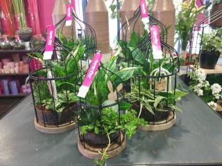 Fleuriste OPENFLOR Bondues 0