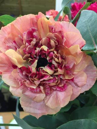 Fleuriste Art & Nature 1