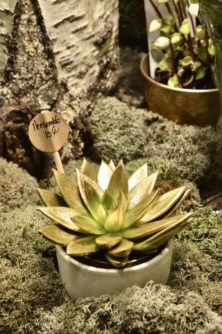 Fleuriste Art & Nature 0