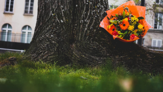 Fleuriste A l'Aube des fleurs | Fleuriste Troyes 0