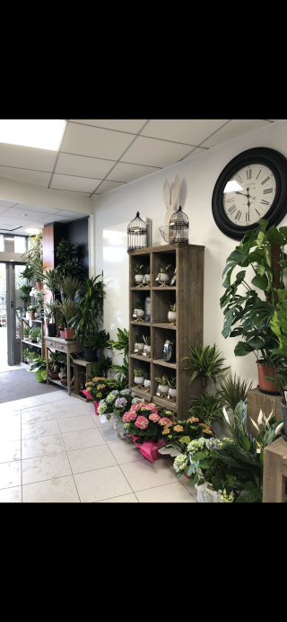 Fleuriste La Marquise Fleurie 0