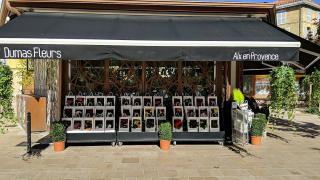 Fleuriste Dumas Fleurs 0
