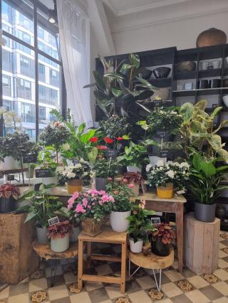 Fleuriste Rose des Bois, By Atelier Maisho | Fleuriste Neuilly-sur-Seine 0