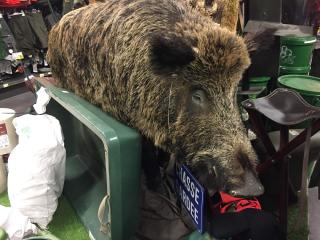 Fleuriste E.Leclerc Jardi 0