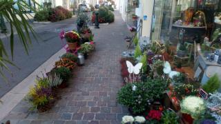 Fleuriste FLEURISTE CHATEAUDUN LE TAM'AYA - ARTISAN FLEURISTE - LIVRAISON 7/7 - LIVRAISON ETABLISSEMENTS FUNERAIRES 0