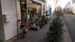 Fleuriste FLEURISTE CHATEAUDUN LE TAM'AYA - ARTISAN FLEURISTE - LIVRAISON 7/7 - LIVRAISON ETABLISSEMENTS FUNERAIRES 0