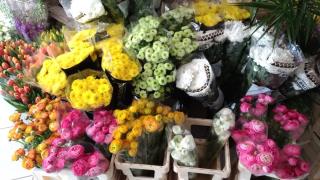 Fleuriste Les Mille et Une Fleurs 1