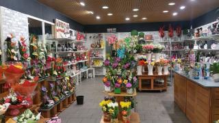 Fleuriste Delph-flor 0