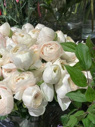 Fleuriste Philo et Capucine 2