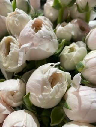 Fleuriste Philo et Capucine 0