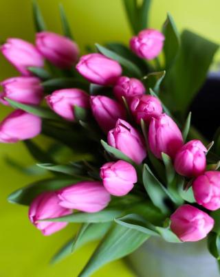 Fleuriste L'atelier Floral Natacha | Fleuriste La Teste-de-Buch 0