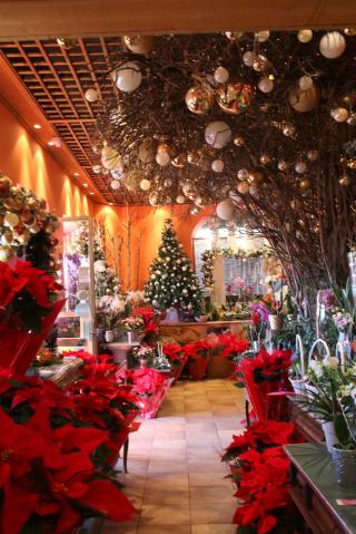 Fleuriste BRAVI FLEURS 0