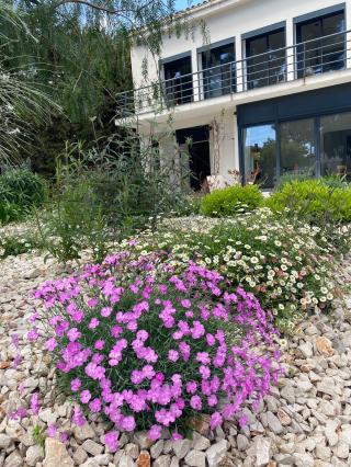 Fleuriste Jungle Art 0