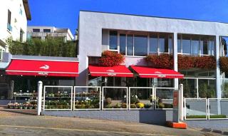 Fleuriste MERLINO FLEURS 0