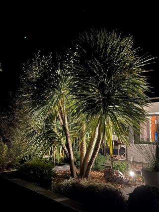 Fleuriste Couleur Paysage 0