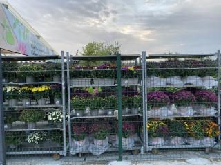 Fleuriste Les Jardins de Valérie Chauvier 0