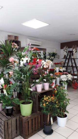 Fleuriste L'ORCHIDÉE 1
