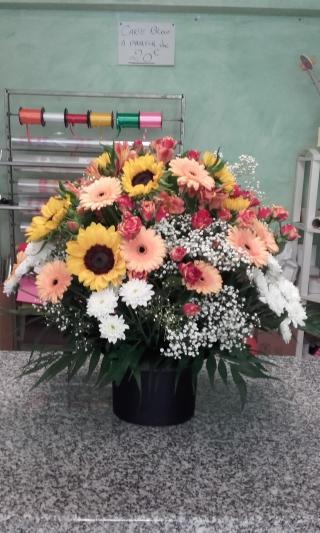 Fleuriste L'ORCHIDÉE 0