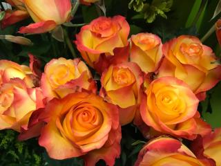 Fleuriste Au Paradis Fleuri 0