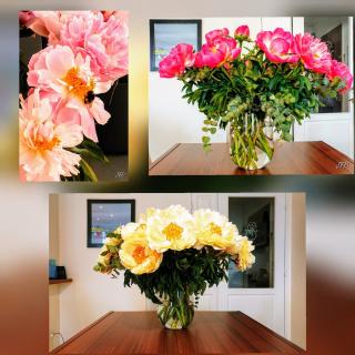 Fleuriste Karinne Leclerc 0