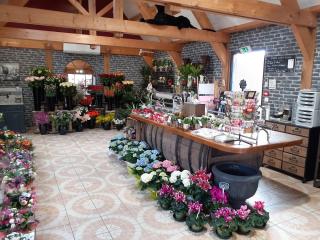 Fleuriste Le Manoir d'Assemont, Maître Artisan Fleuriste 0