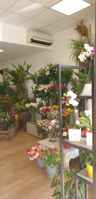 Fleuriste Soli'flore 0