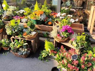 Fleuriste La Vie en Fleurs, Artisan Fleuriste Cambrai 0