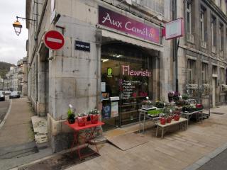 Fleuriste Aux Camélias Fleuriste 0