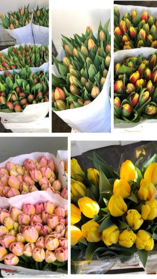 Fleuriste Xav Fleurs 0