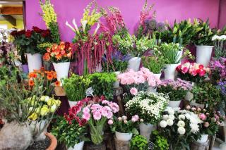 Fleuriste FLORE ET SENS 1